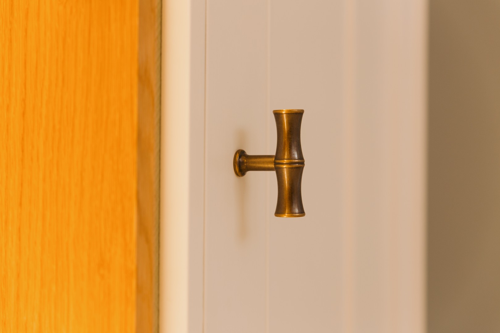 Brass door handle on wooden door